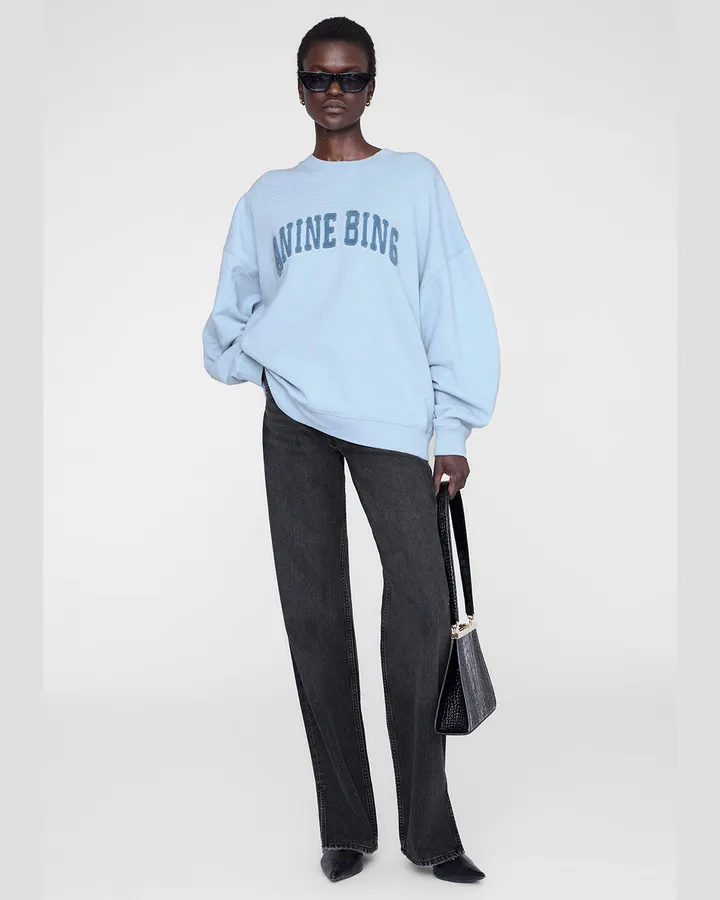 Arch Sweatshirt, Powder Blue — Anine Bing